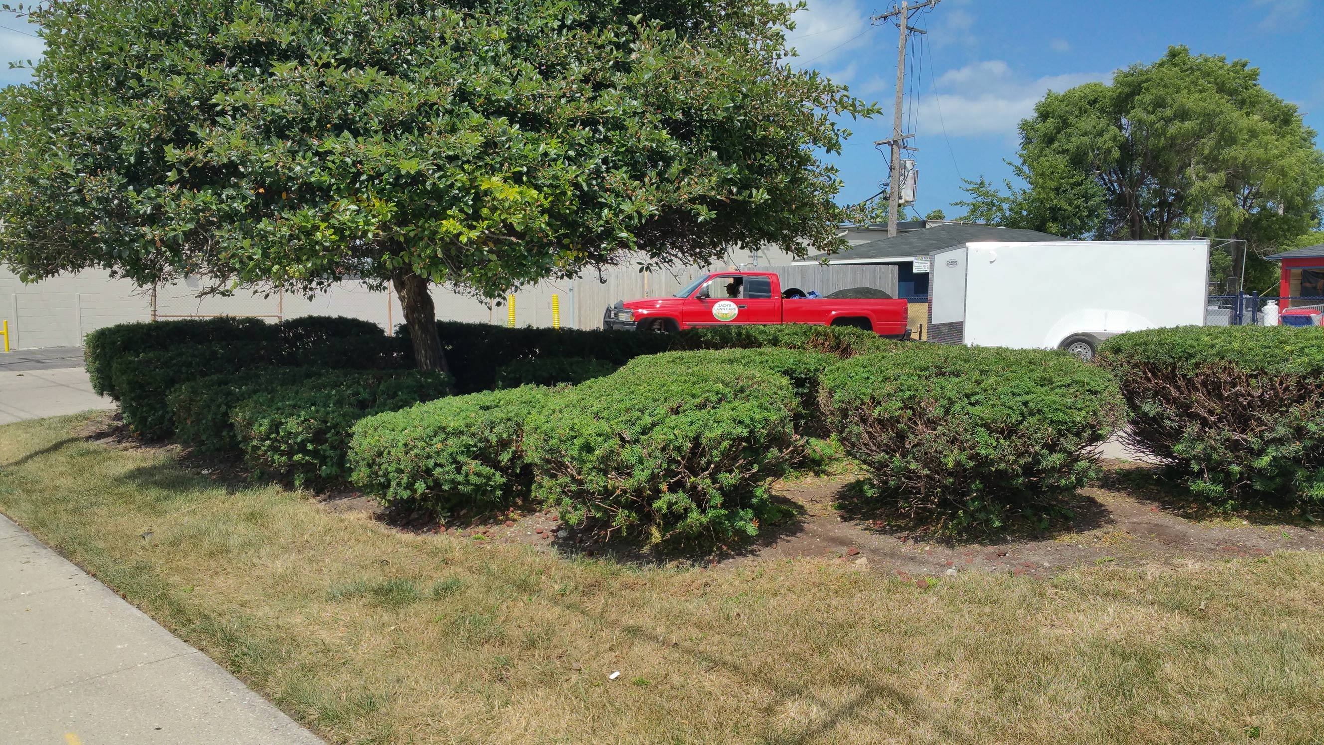 Bush Trimming Zach's Lawn Care