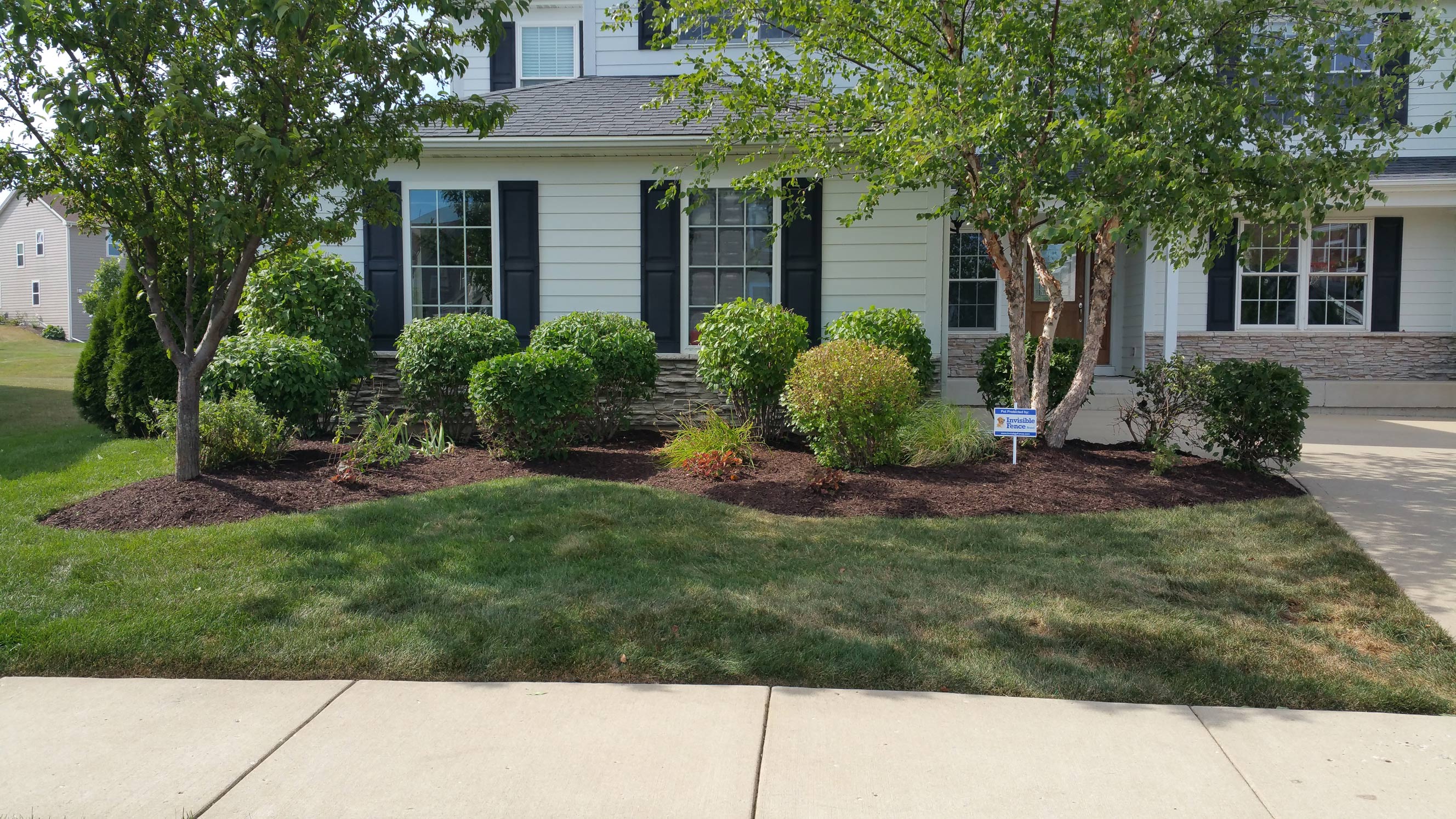 Bush Trimming Zach's Lawn Care