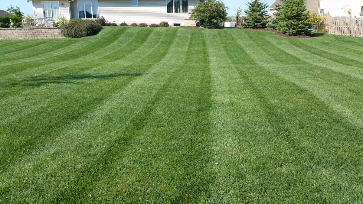 Kenosha Lawn Care Lawn Mowing Zach;s Lawn Care