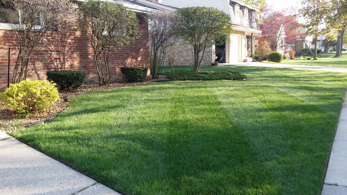 Fall Cleanup Kenosha Leaf Removal Leaf Collection Kenosha