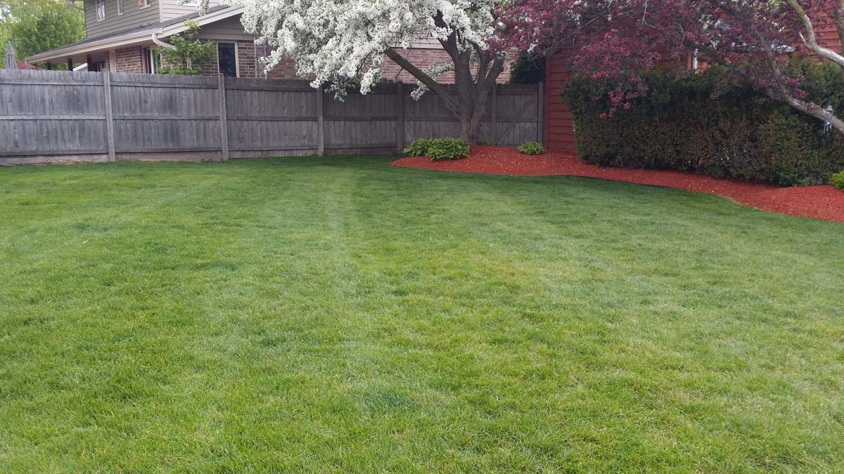 Kenosha Lawn Care Lawn Mowing Zach;s Lawn Care