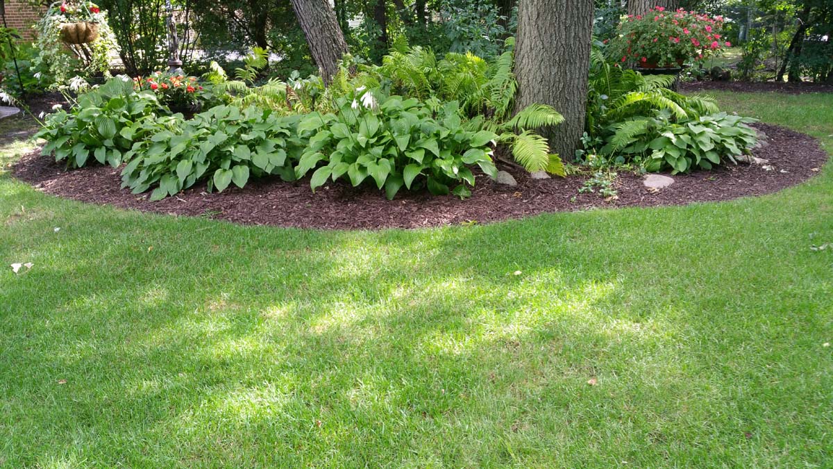 Kenosha Mulch Service Mulching Weed Control Brown Dyed Mulch Delivery