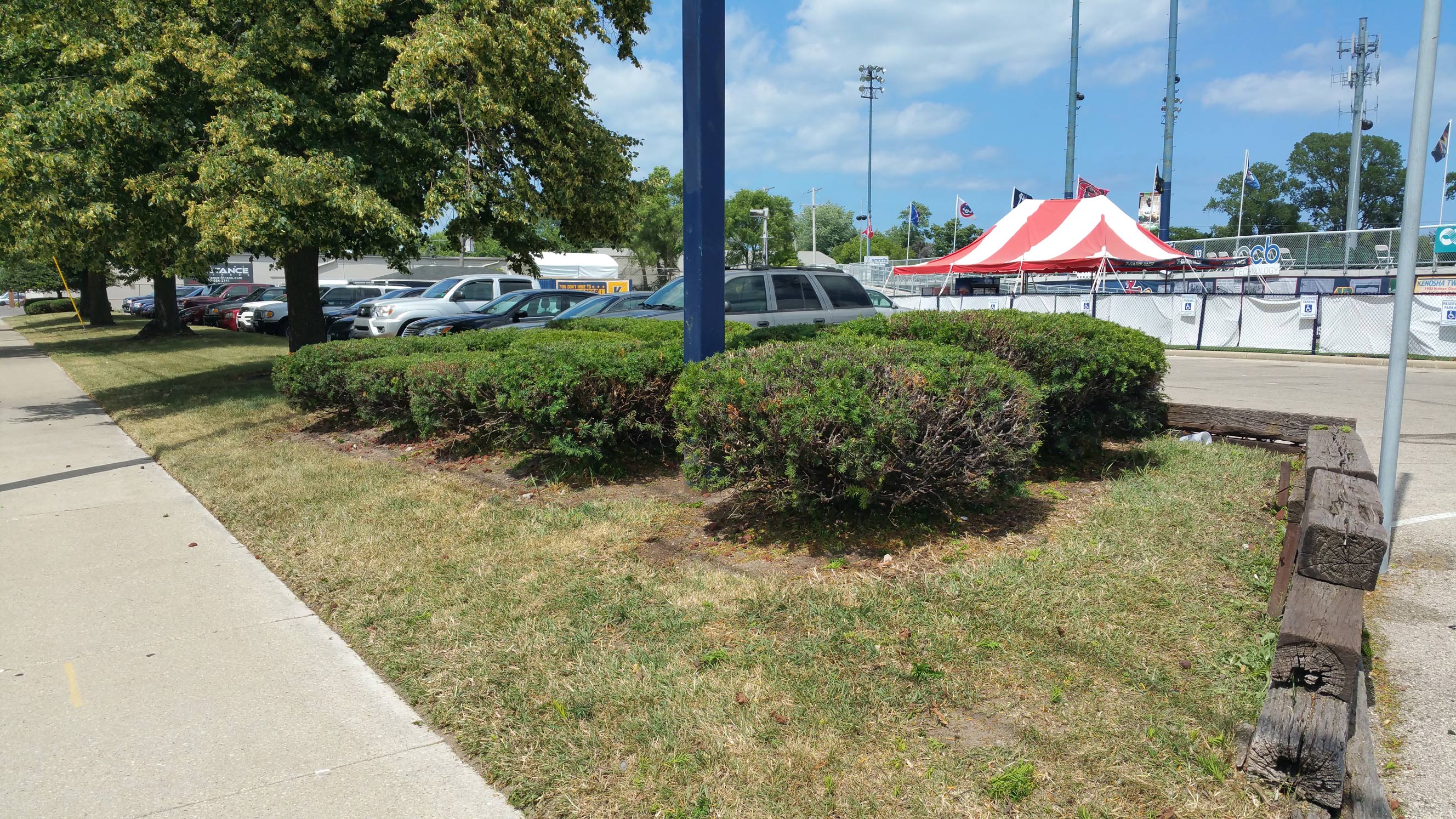 Bush Trimming Zach's Lawn Care