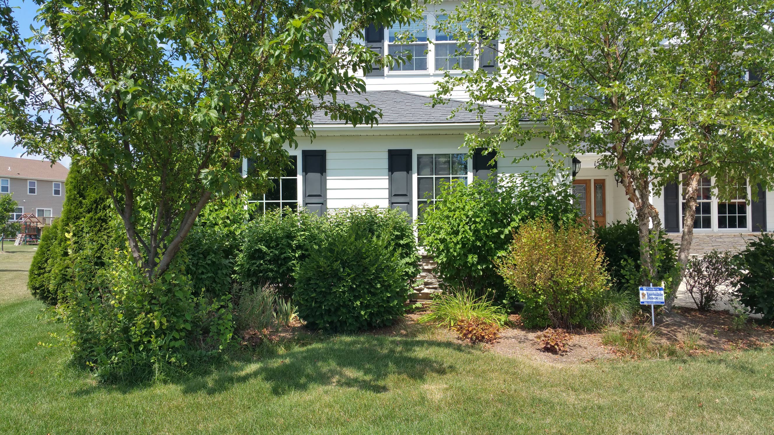 Bush Trimming Zach's Lawn Care