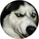 Herb Langston profile picture